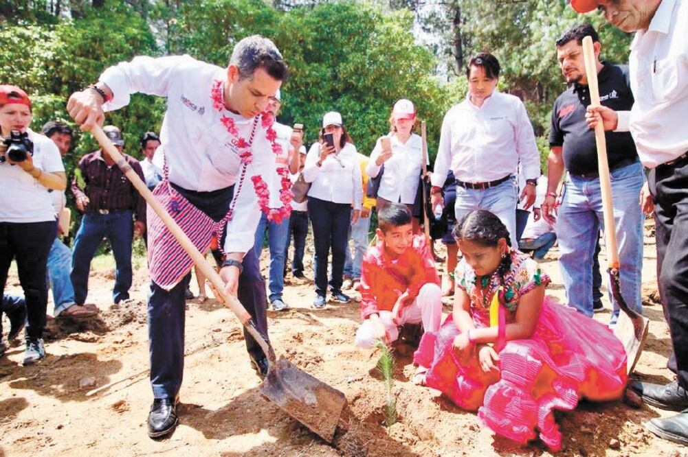 El gobernador Alejandro Murat Hinojosa participó en la plantación de más de 2 mil 500 pinos en cada uno de los municipios que visitó, con lo que inició el Programa Estatal de Reforestación 2019. / TOMADA DE TWITTER