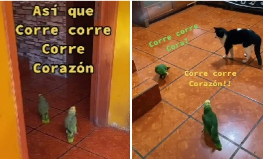 Imagen: Captura de pantalla