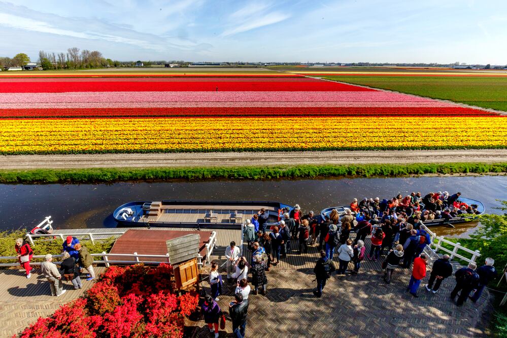 (Foto: Cortesía Parque Keukenhof)