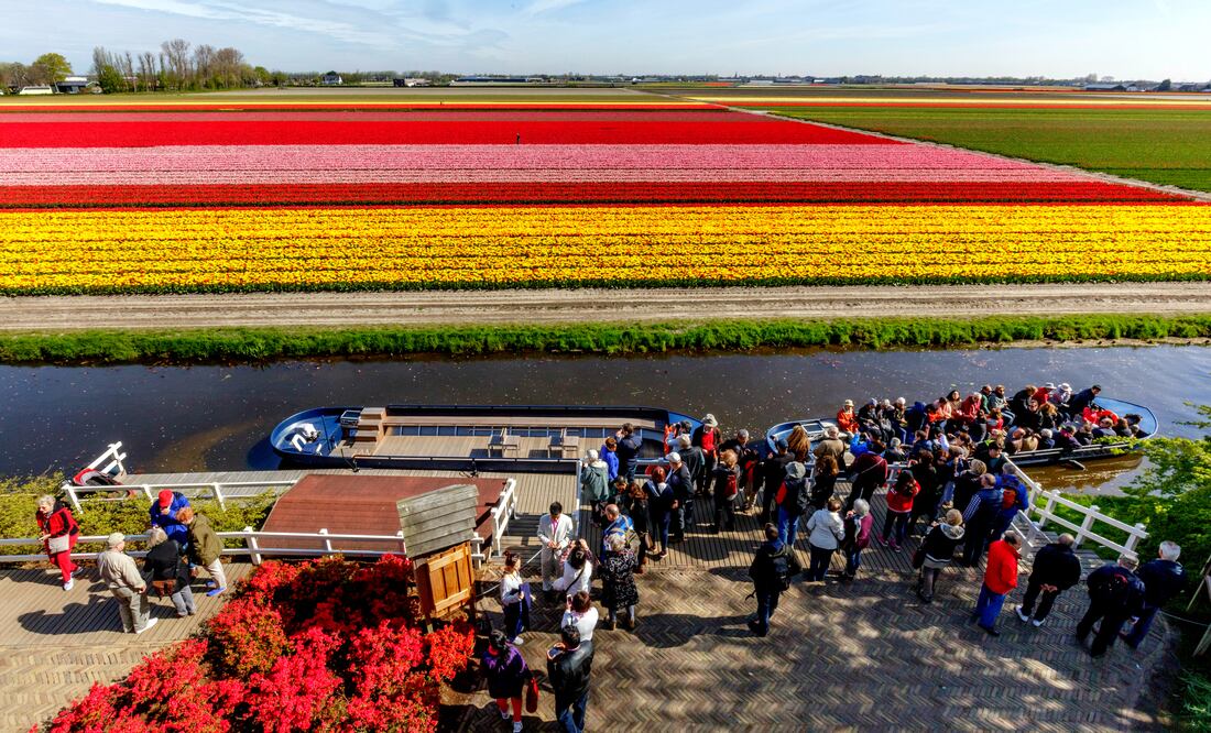 (Foto: Cortesía Parque Keukenhof)