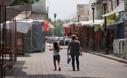Reprueba Red de Refugios campaña “Cuenta hasta 10”