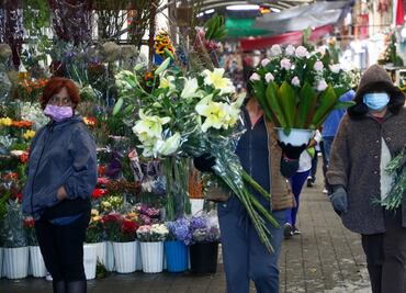 Se perdieron 10.3 millones de empleos informales en abril: Inegi
