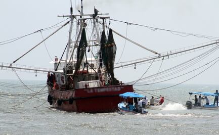 Desaparece pescador al caer de un barco camaronero 