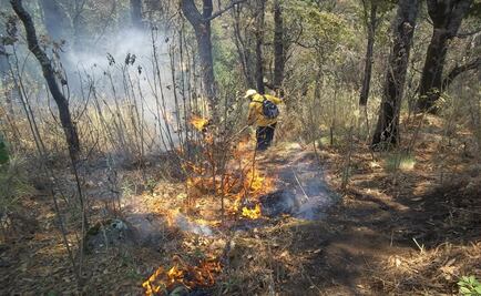 Descuidos provocan 90% de los incendios forestales: Conafor