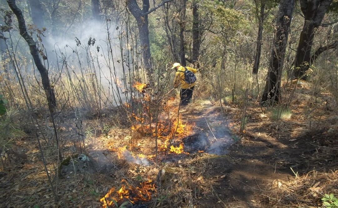 Foto: Archivo EL UNIVERSAL 