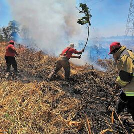 Suman 100 incendios por clima y negligencia civil