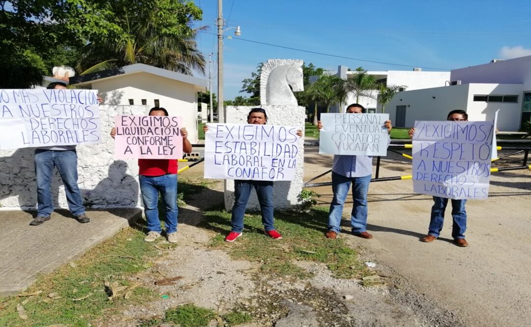 Trabajadores de CONAFOR que fueron despedidos protestaron a las puertas de las instalaciones en Mérida. FOTO: Yazmín Rodríguez Galaz
