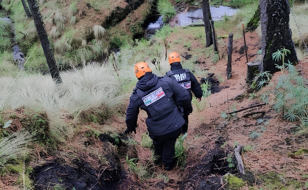 Las personas explicaron a los uniformados que se desorientaron al intentar descender . | Foto: Especial.