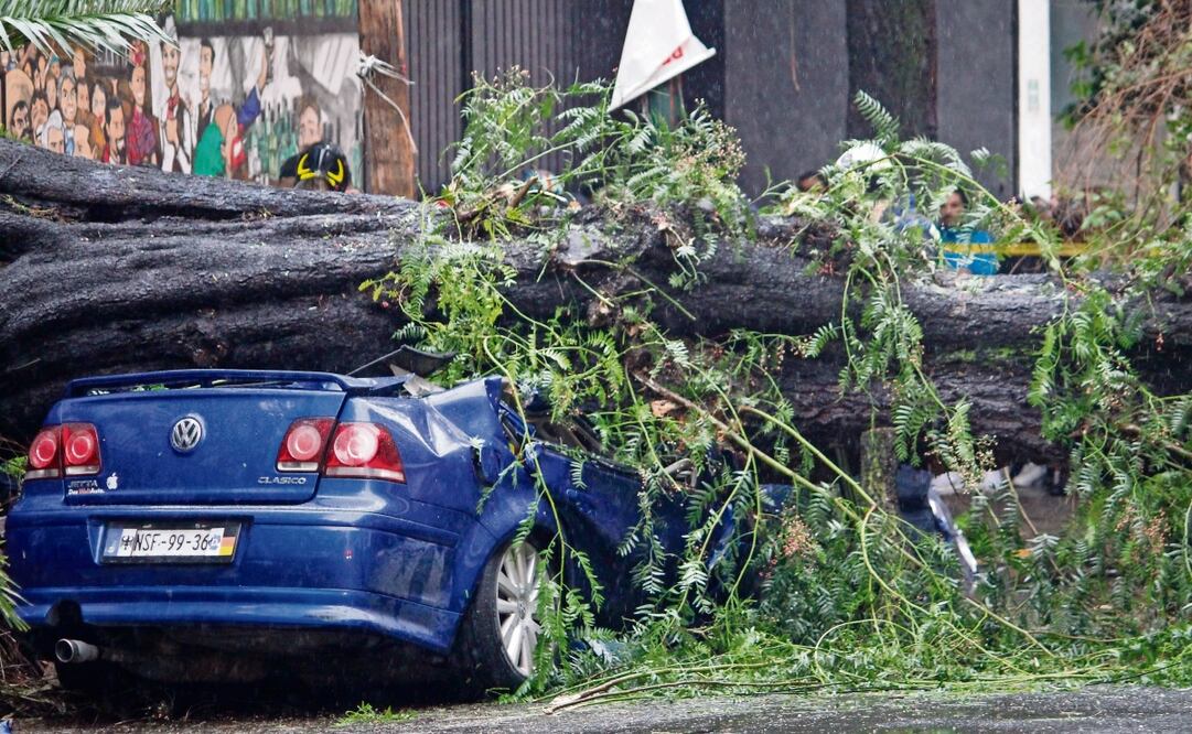 Una madre y su hijo que esperaban dentro del auto a que pasara la lluvia quedaron atrapados al caerles un árbol. 
Foto: Luis Camacho EL UNIVERSAL
