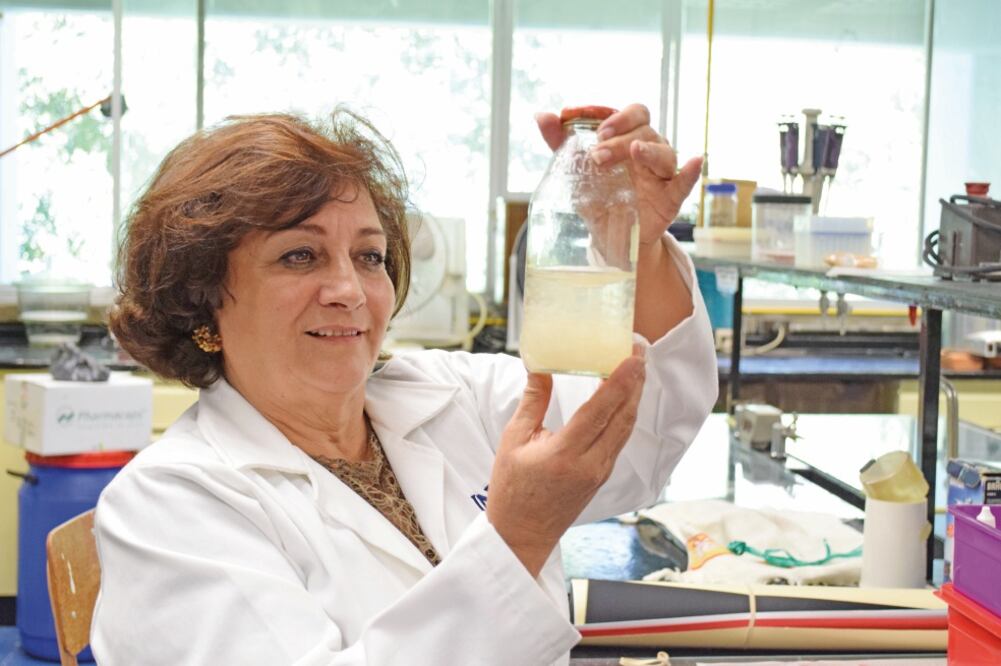 El polímero de quitina y quitosano se extrae del caparazón de crustáceos; el procedimiento cuenta con la patente de la UNAM (ESPECIALES)