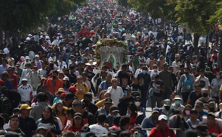 ¿Dónde reportar extravío de personas por aglomeraciones en la Basílica de Guadalupe?