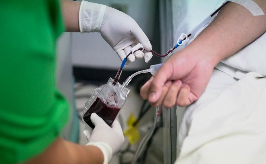 Foto: IMSS/CUARTOSCURO.COM