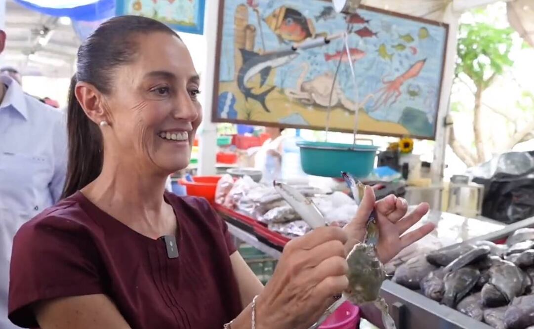 Claudia Sheinbaum es mordida por Jaiba durante su visita a un mercado de mariscos y pescados en Tampico, Tamaulipas / Captura de pantalla
