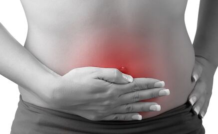 Identifican que intestino y cerebro están conectados por circuito neuronal