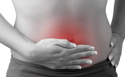 Identifican que intestino y cerebro están conectados por circuito neuronal