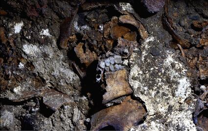 FOTOS: Huei Tzompantli revela nueva información sobre la cosmovisión de los mexicas