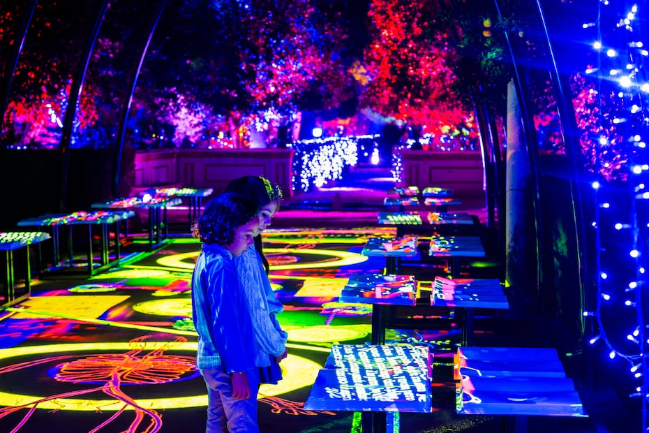 Esta experiencia es un plan cultural distinto para disfrutar en pareja, familia o con amigos en la CDMX. Foto: Cortesía