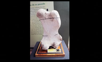 Encuentran fémur de perezoso gigante en Chiapas