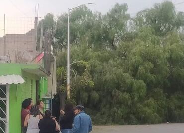 Registran caída de árboles y postes de luz por fuerte ráfagas de viento en Coacalco