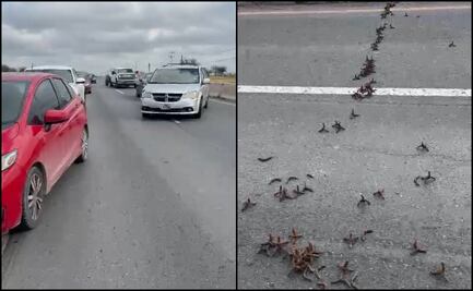 Bala perdida lesiona a estudiante durante balaceras y persecuciones en Reynosa, Tamaulipas