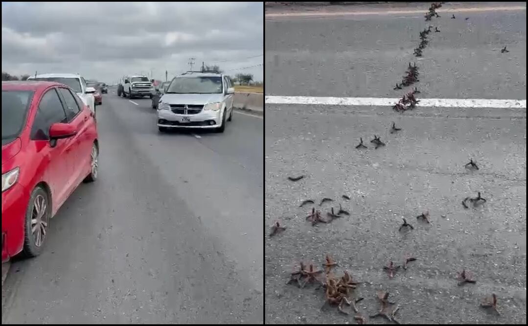 Una gran cantidad de vehículos resultaron dañados luego de que se arrojaran ponchallantas en principales arterias de la ciudad. Foto: Especial