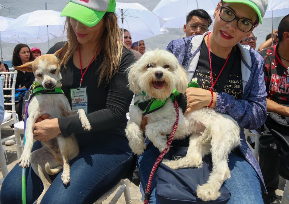 FOTO: VICTORIA VALTIERRA/CUARTOSCURO.COM/El Universal