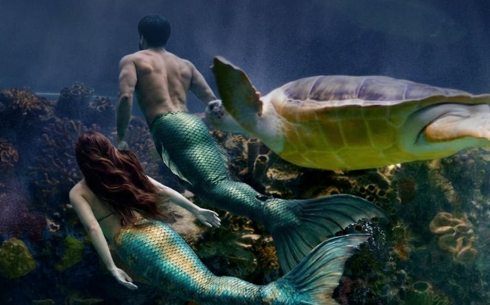 Estas vacaciones, aprovecha para llevar a tus peques al show "Sirenas y tritones". Foto: Instagram @acuarioinbursa