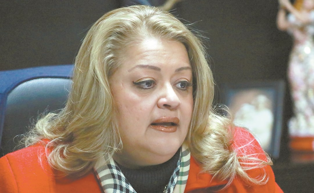 La comisionada ciudadana del Info, Elsa Bibiana Peralta, dice que el gobierno debe implementar medidas de privacidad en el uso de datos personales. Foto: FERNANDA ROJAS. EL UNIVERSAL