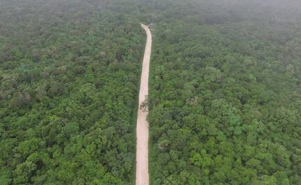 A propósito de trenes (IV) (Transístmico–Maya)