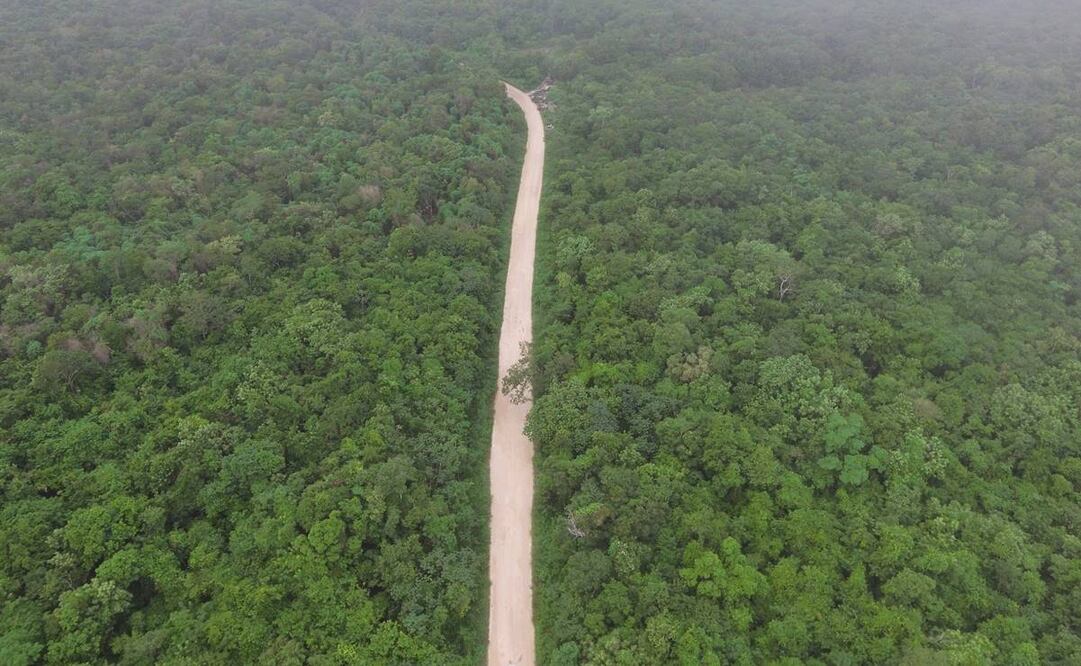 A propósito de trenes (IV) (Transístmico–Maya)