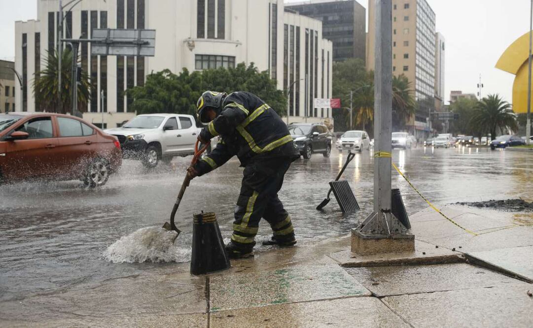 Reportan 34 árboles caídos y 5 encharcamientos en CDMX por lluvias. (22/06/2025). Foto: Darío Luna / EL UNIVERSAL
