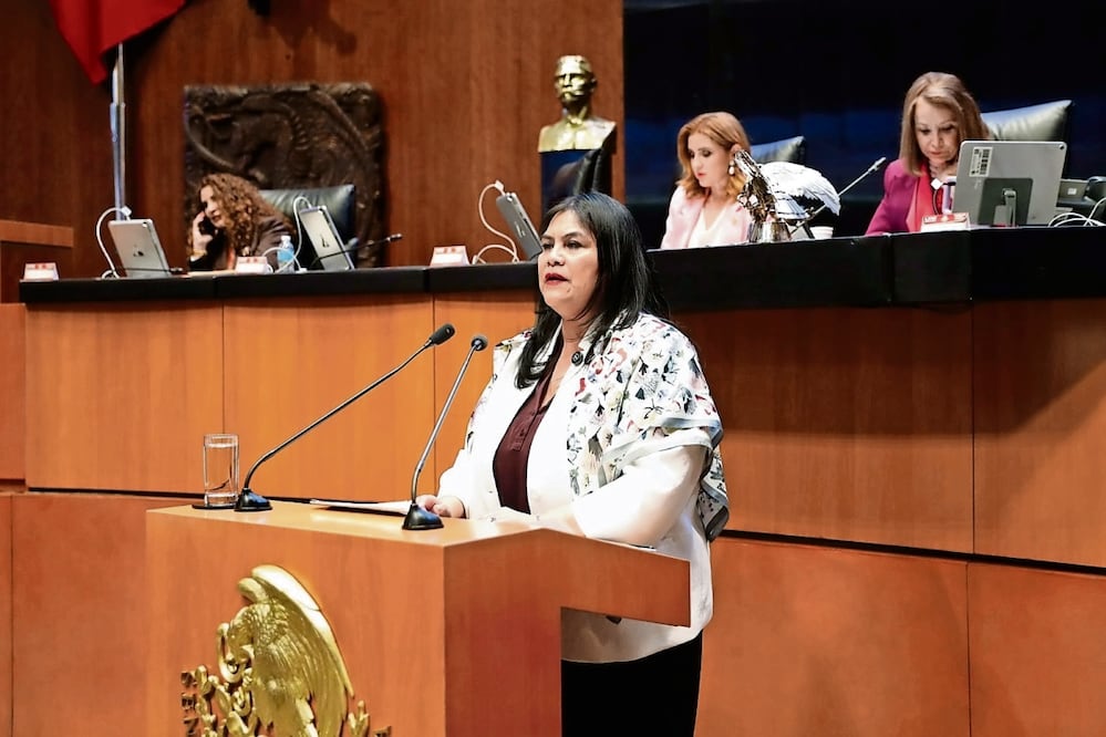 Guadalupe Chavira dijo que la acusación de un gobierno extranjero, por su gravedad institucional, no puede ser ignorado. Foto: Especial
