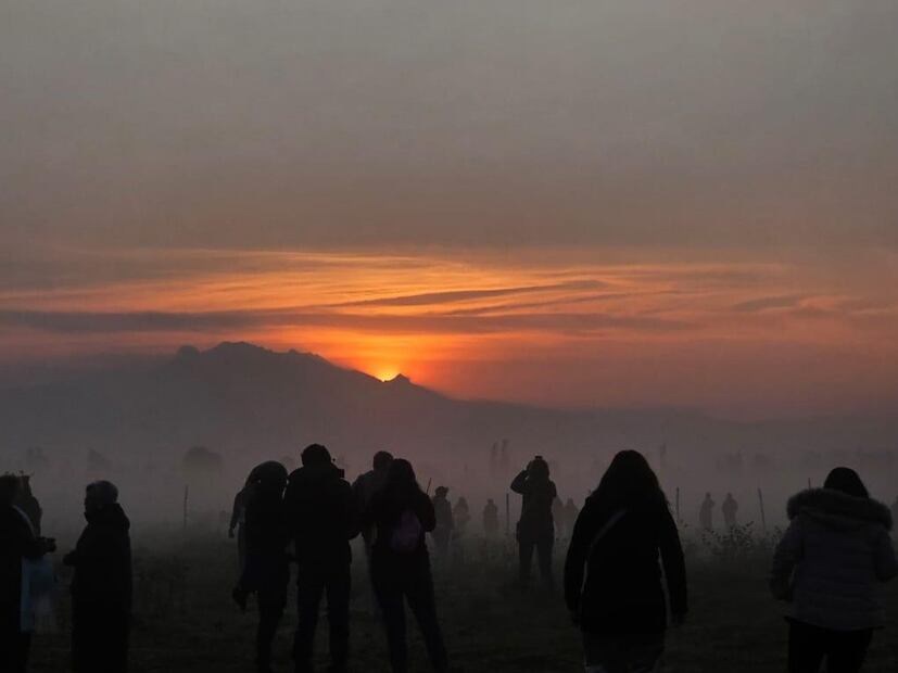 La Ruta del Cempasúchil 2025 se desarrollará en dos horarios. Foto: Boletópolis