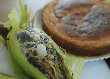 ¡Prepárate! Ya viene la edición 19 de la Feria del Elote y del Maíz en Tonanitla, Edomex