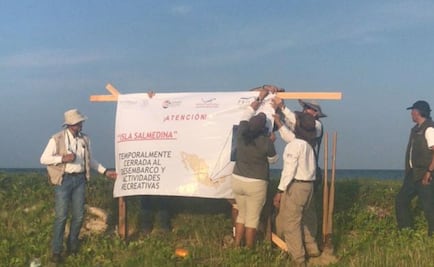 Profepa multa con 4 mdp a organizadores de fiesta en zona protegida de Veracruz