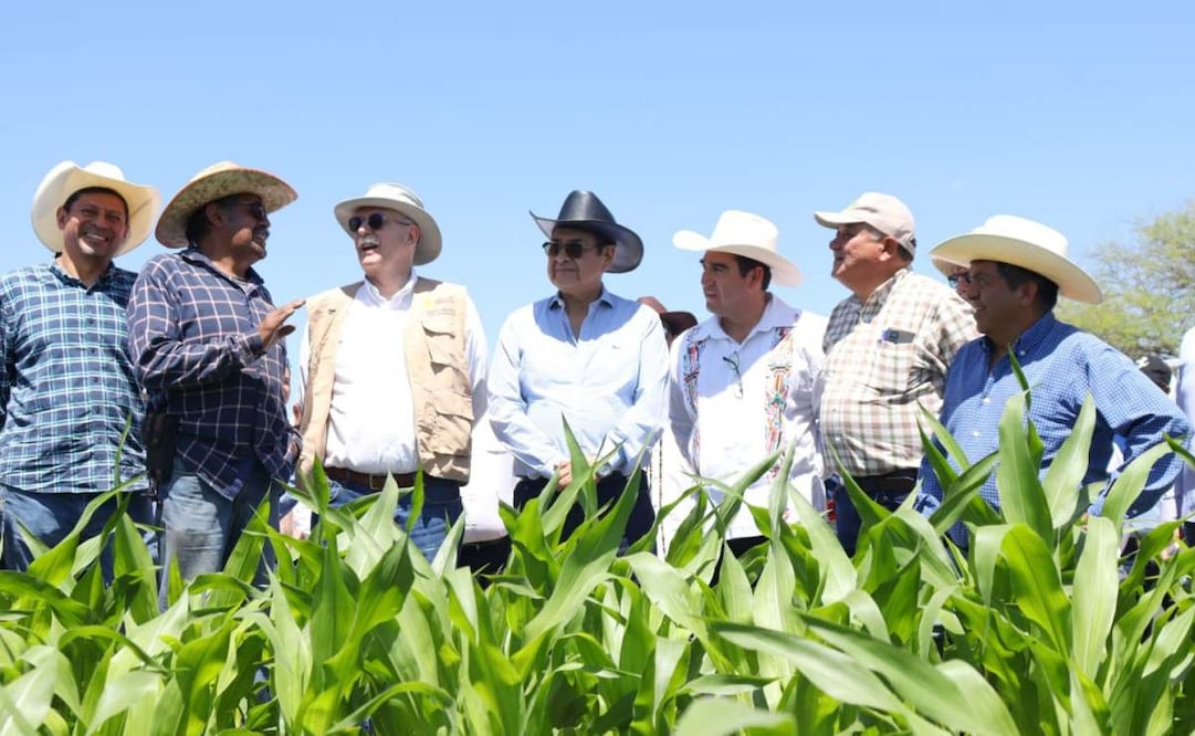 Reconocen acciones de gobernador de Hidalgo (09/06/2025). Foto: Especial