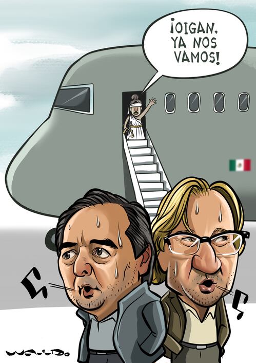 Cartón de WALDO