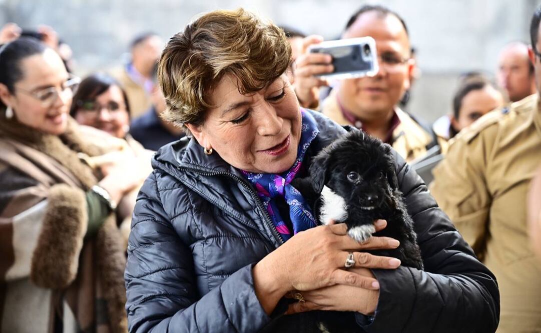 Delfina gómez se pronuncia por la protección de animales / Foto: Especial
