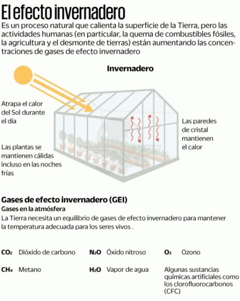 COP26, una cumbre por la supervivencia