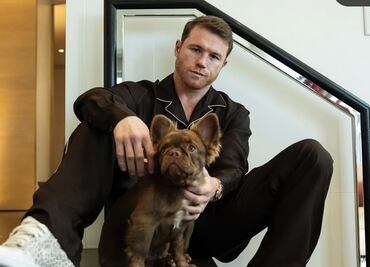 Canelo Álvarez sufre castigo; quedó fuera de los boxeadores mejores pagados del 2024