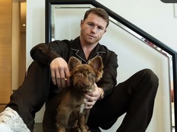 Canelo Álvarez sufre castigo; quedó fuera de los boxeadores mejores pagados del 2024