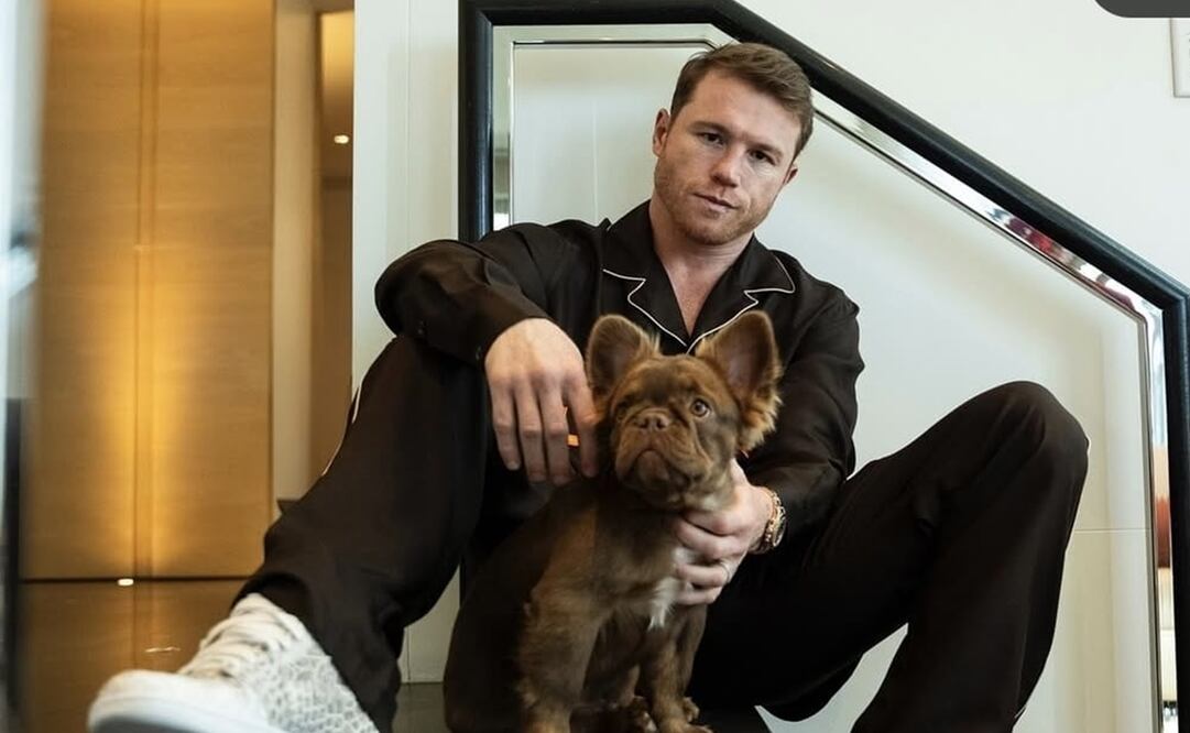 Canelo Álvarez sufre castigo; quedó fuera de los boxeadores mejores pagados del 2024