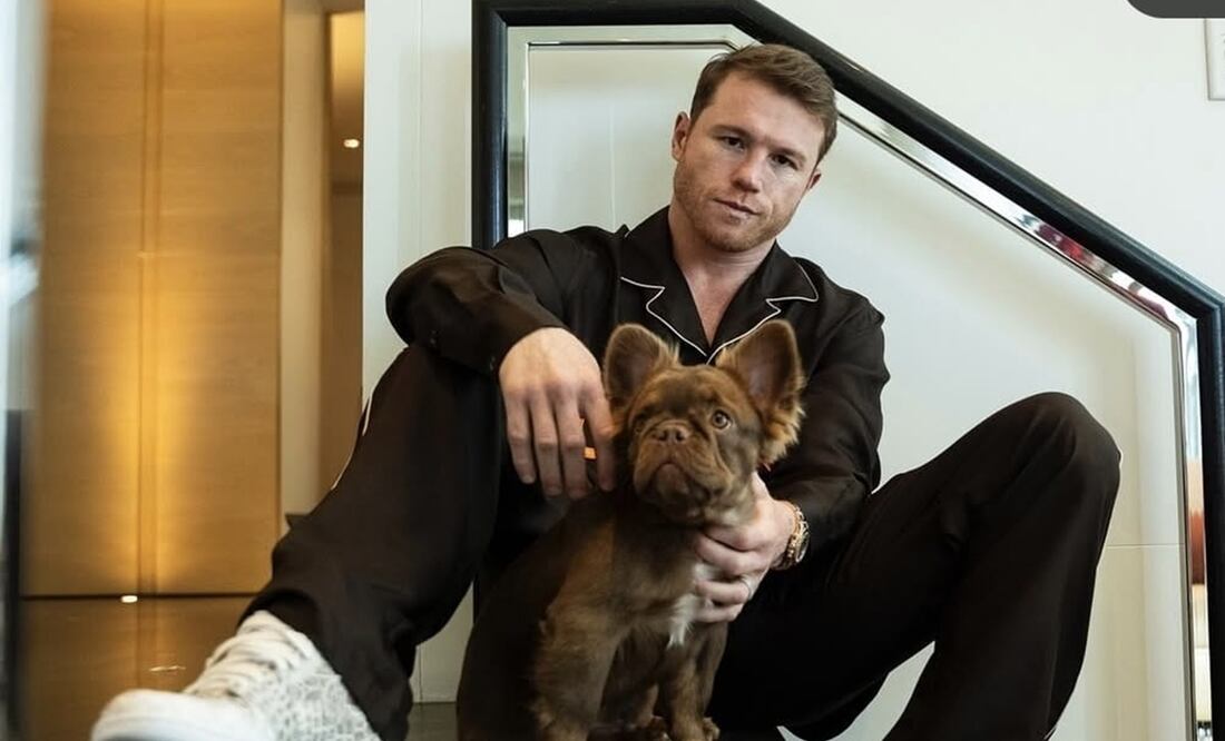 Canelo Álvarez sufre castigo; quedó fuera de los boxeadores mejores pagados del 2024