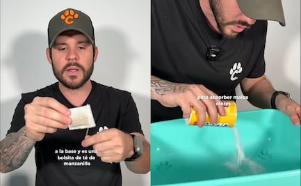 ¿Cómo colocar la arena para gato?; descubre la manera correcta para que rinda por más tiempo