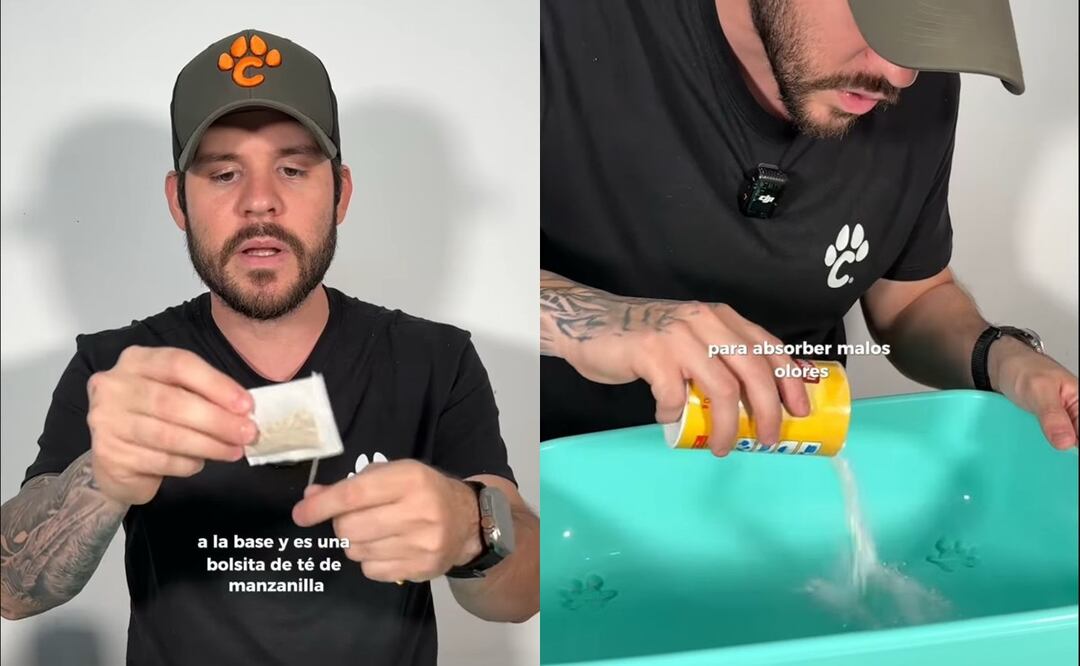 Descubre el mejor truco para evitar malos olores en la caja de arena de tu gato. Foto: Instagram @chemanimals