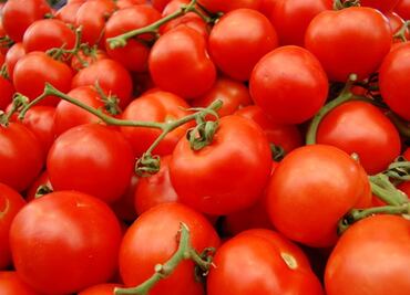 Tomates de primera gracias a las misiones a Marte