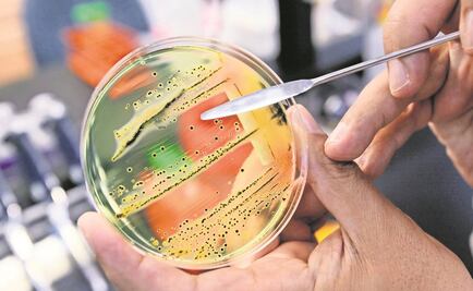 Definen epidemia que mató a millones en la Colonia