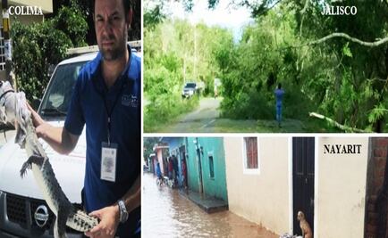 Saldo blanco en minas y zoológicos: Profepa