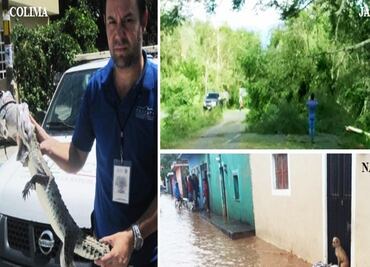 Saldo blanco en minas y zoológicos: Profepa
