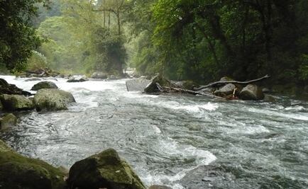 Ríos de Veracruz por debajo de la escala crítica: Conagua